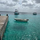 IMG 3394