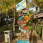 IMG 3396