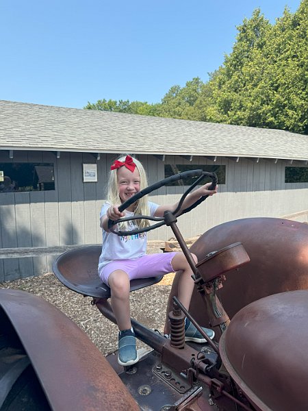 IMG 2731