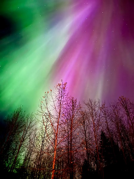 IMG E2876