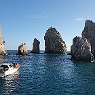 DSC02446