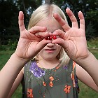 IMG 1315