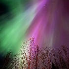 IMG 2876