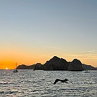 IMG E2381