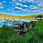 IMG E2614